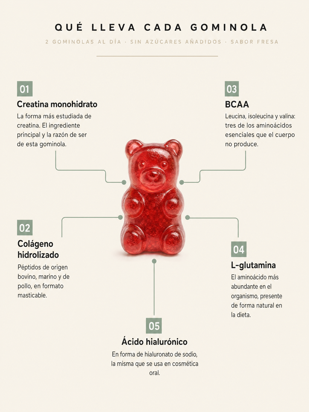 Creatina monohidratada (60 uds.)